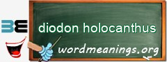 WordMeaning blackboard for diodon holocanthus